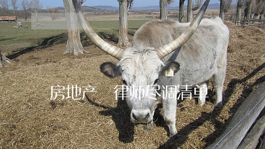 房地产 律师尽调清单 房地产 律师尽调清单